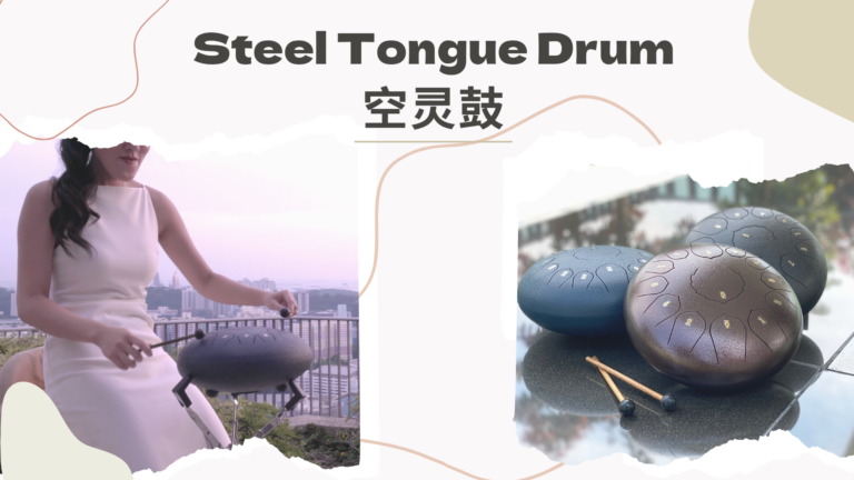steel-tongue-drum-jamie-tan-2